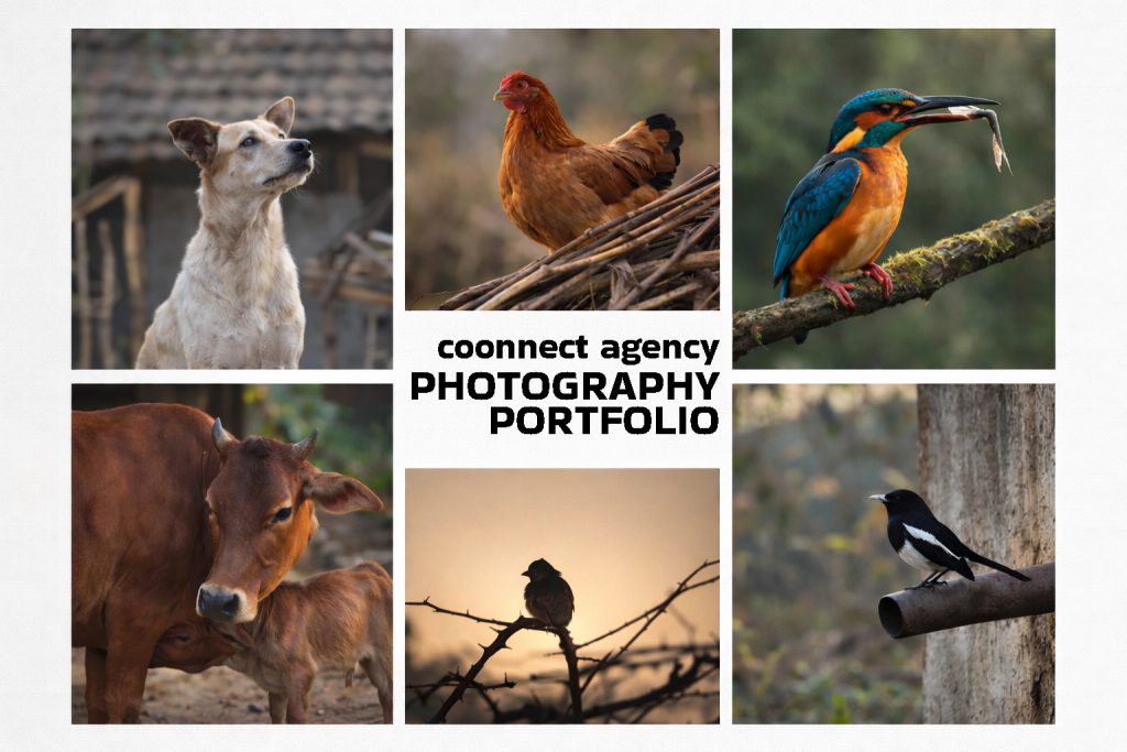 Photography Portfolio